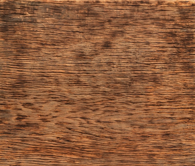 Abstract natural background Oak board texture