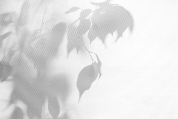 Photo abstract natural pattern with shadows gray shadow background from natural leaves