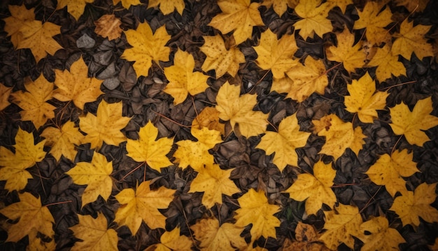 abstract nature autumn Background with yellow leaves