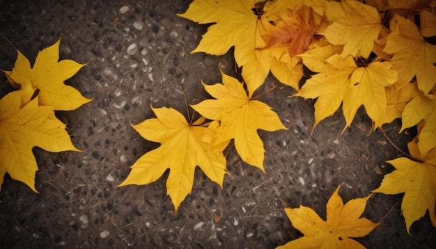 abstract nature autumn Background with yellow leaves