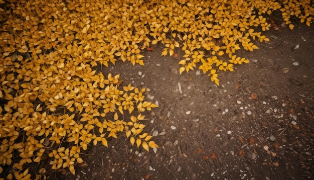 abstract nature autumn Background with yellow leaves