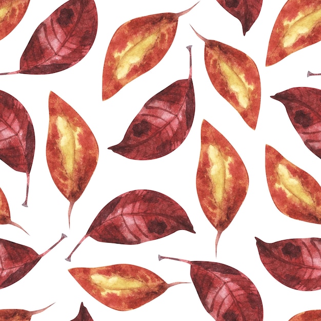 Abstract Nature background Pattern of Red and orange leaves Autumn fall october Seamless pattern