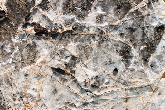 Abstract Nature Stone Background