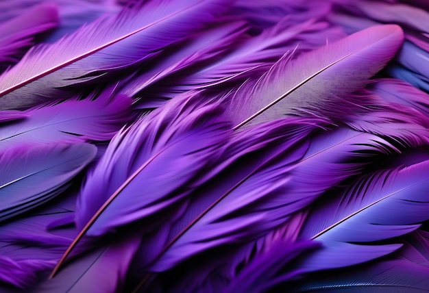 Abstract Purple Feathers on White Background