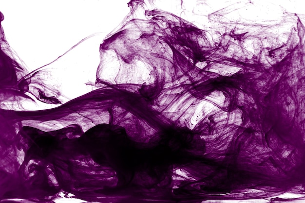 Abstract purple ink on white.