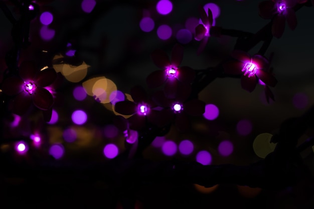 Abstract purple violet circles Blurry defocus background