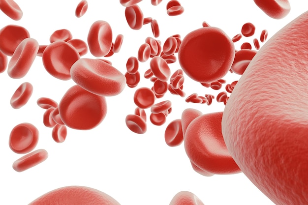 Abstract red blood cells, scientific or medical or microbiological concept, 3d rendering isolated on white background