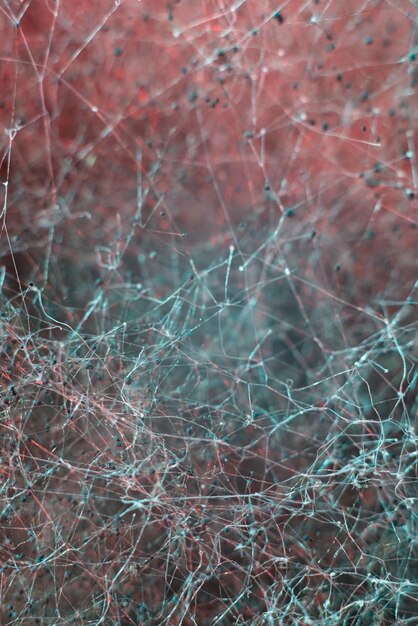 Abstract redgreen macro photography natural texture neural network mold