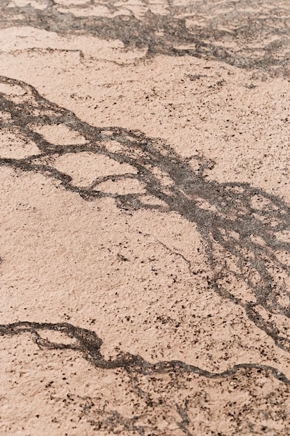 Photo abstract relief rough gritty neutral beige surface of background texture aesthetic pattern on sandstone top view textured sand natural ornament or wallpaper macro photo shore salt lake