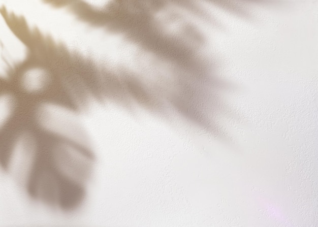 Abstract shadow texture background with tropical leaves and light