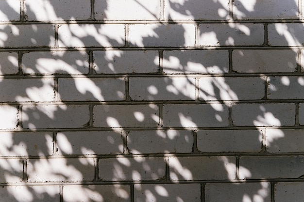 Abstract silhouette of the shadow of natural leaves of a tree branch on a gray concrete wall Atmospheric photo on a sunny summer day