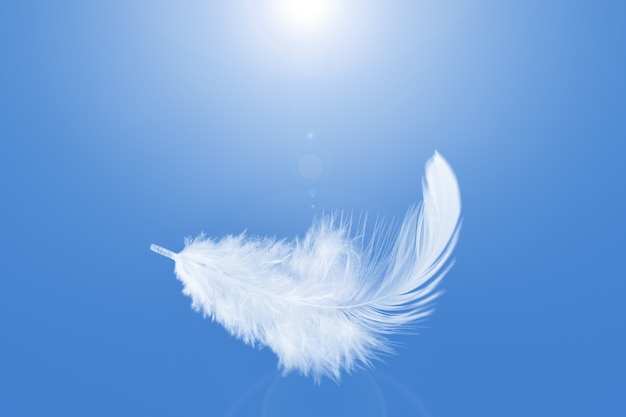 Abstract single white feather falling in the sky