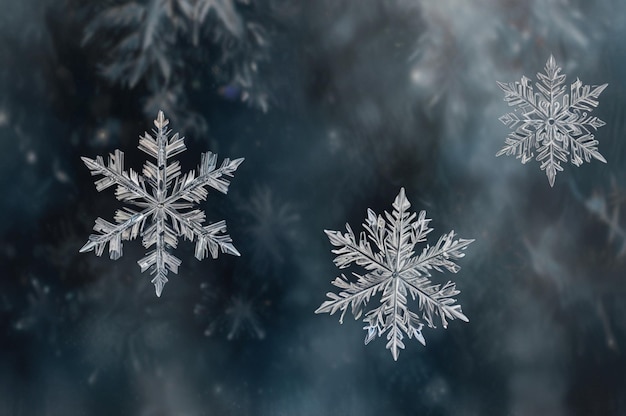 Photo abstract snowflakes in winter wonderland