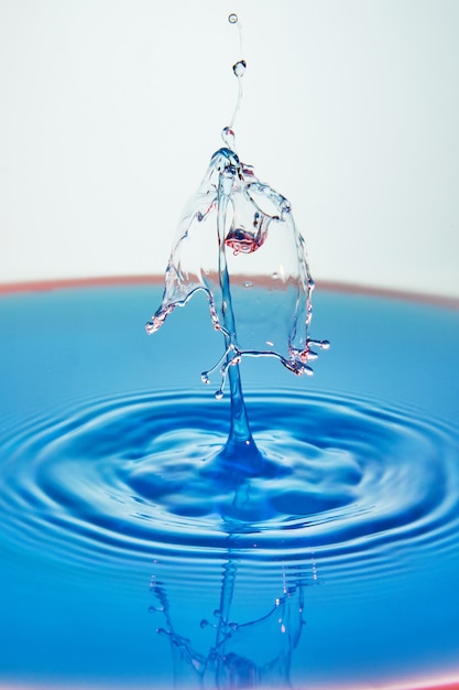 Abstract of splash of color water, collision of colored drops