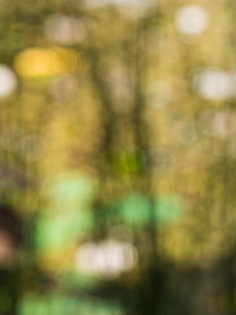 Abstract summer background bokeh water lilies in the pond