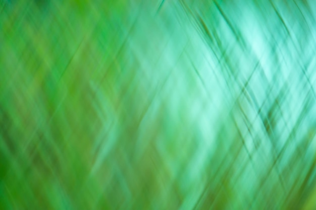 Abstract sunny spring defocused background Green defocused bokeh abstract spring background