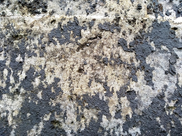 Abstract texture  background of mossy, porous, cracked and weathered sandstone walls