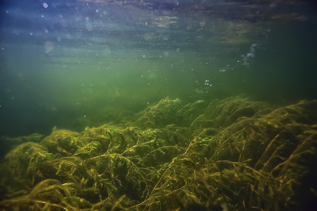 abstract underwater background in the lake, clean freshwater