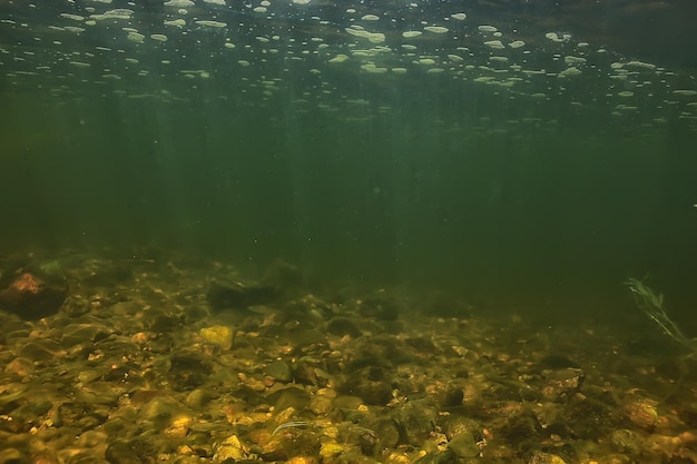 abstract underwater background in the lake, clean freshwater