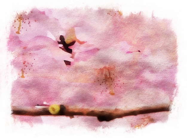 Abstract watercolor pink sakura flower design painting, sakura watercolor illustration