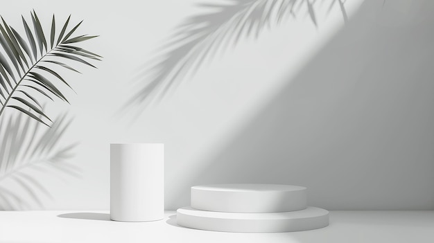 Abstract White 3D Room with Realistic Cylinders