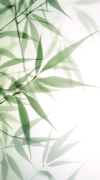 Abstract white green bamboo leaves on soft background