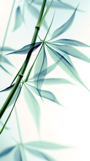 Abstract white green bamboo leaves on soft background