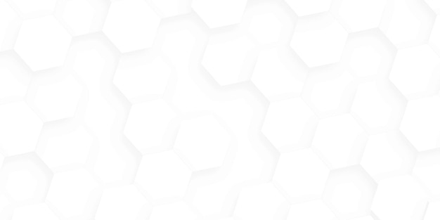 Abstract white hexagon concept background hexagons top view