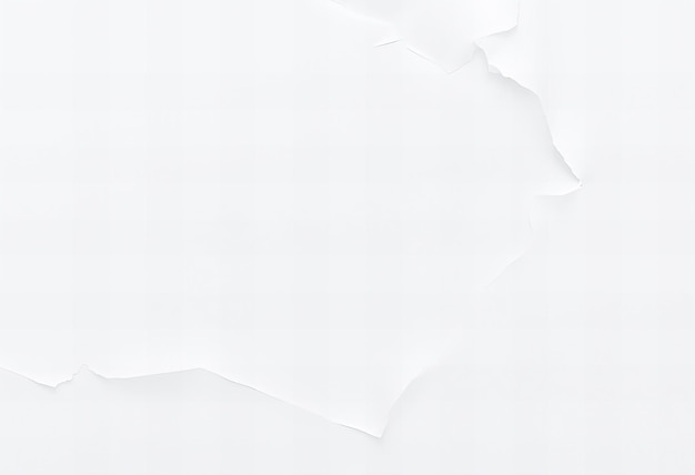 Abstract white paper texture with creases for background or poster mockup