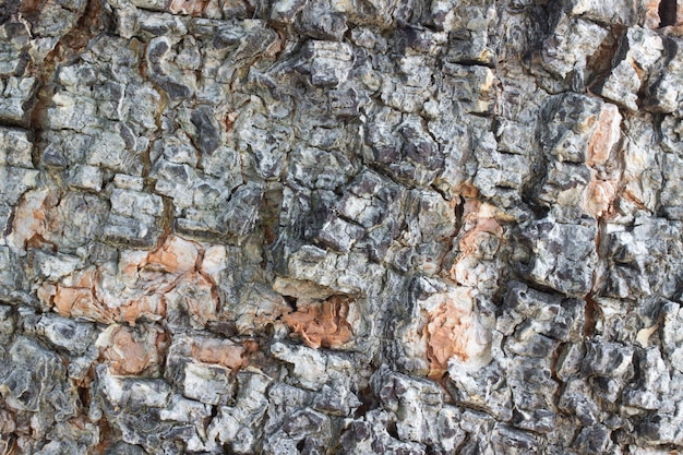 Abstract wood texture background