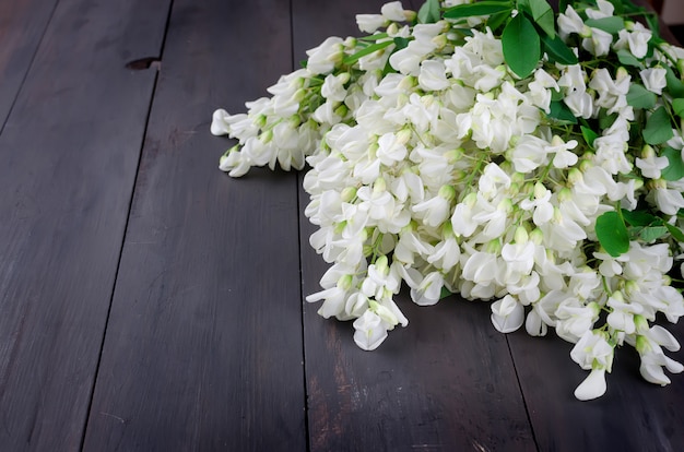 Acacia flowers on a dark wooden background