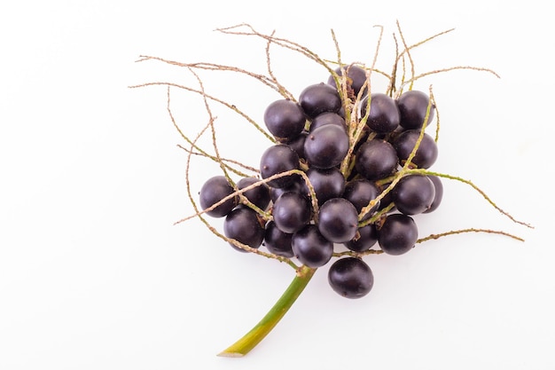 Acai fruit on a white background Euterpe Oleracea