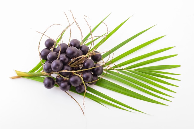 Acai fruit on a white background Euterpe Oleracea