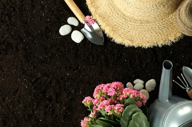 Accessories and tools for gardening on soil background