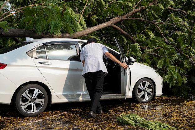 The accident caused the broken branches to fall onto the car The unfortunate man is reaching out to insurance to come