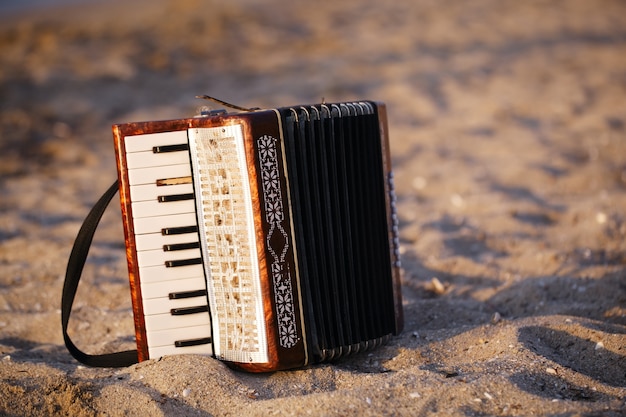 Accordian on a sandy beach