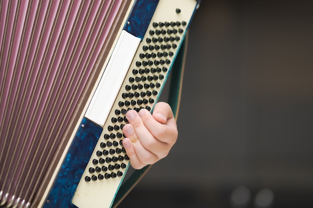 Accordion in the hands of a musician, close-up view.