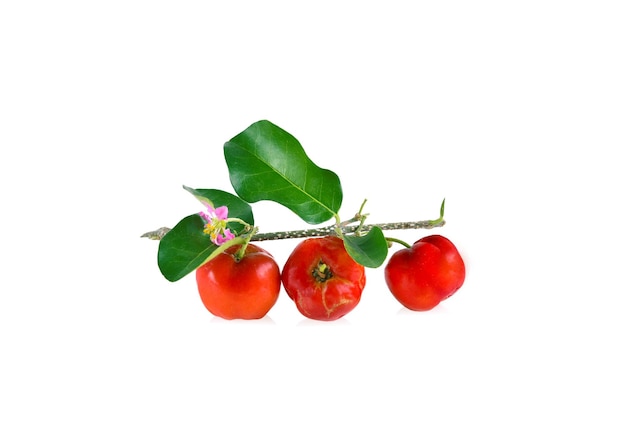 Acerola small cherry fruit with leaf isolated on white background.