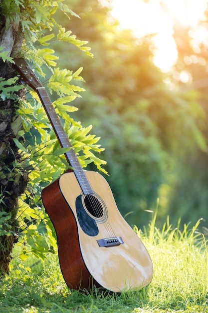 Acoustic guitar outdoors on greenery background Concept of calm music