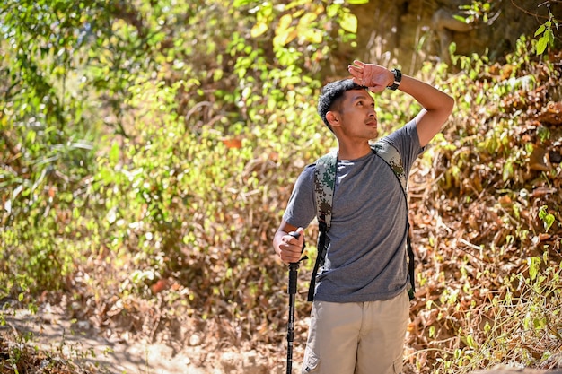 Active fit Asian male traveler with trekking gear exploring in the forest trekking at the mountain