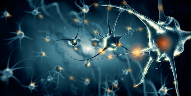 Active nerve cells