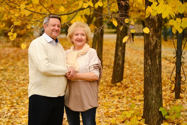 Active seniors on a walk in forest