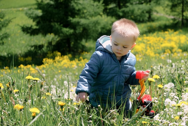 Active small boy walking through spring meadow