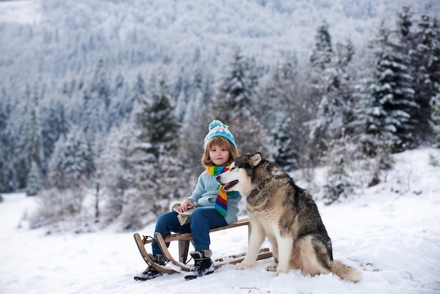 Active winter outdoors games for kids with dog husky happy christmas vacation concept boy enjoying w...