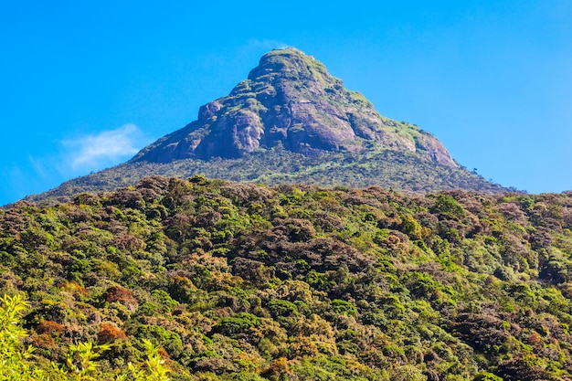 Adams Peak or Sri Pada is a tall mountain in Sri Lanka. Adams Peak is well known for the Sri Paadaya Temple with sacred Buddha footprint in Buddhist tradition.