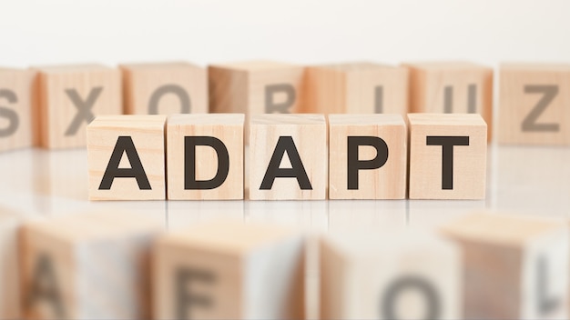 Photo adapt from wooden blocks with letters, random letters around, white background