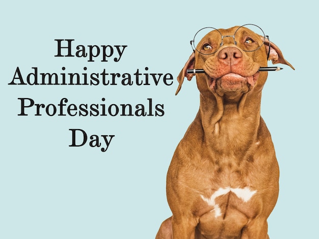 Administrative Professionals Day Beautiful card with a cute puppy