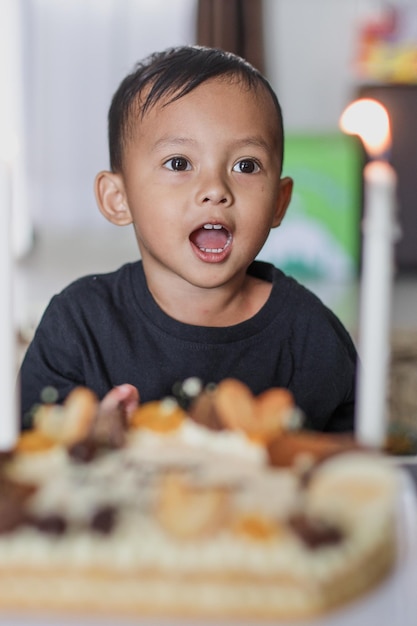 Adorable little boy celebrating his birthday with homemade baked cake, indoor.