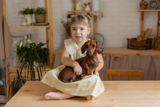 Adorable little girl in a beautiful dress plays with a dachshund dog in the kitchen and feeds her