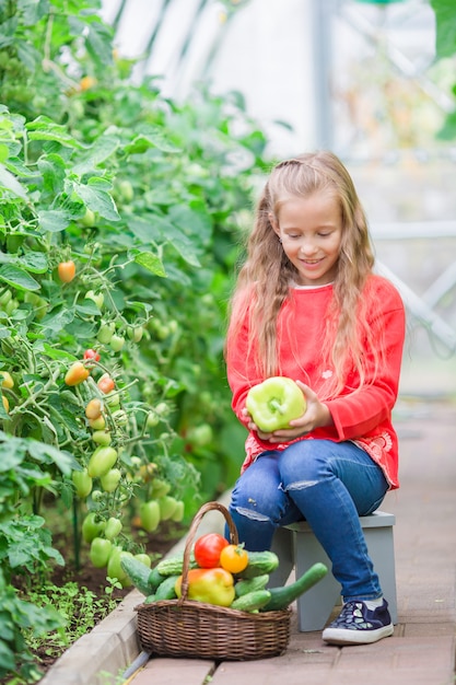 Adorable little girl harvesting cucumbers and tomatoes in greenhouse. Portrait of kid with red tomato in hands.